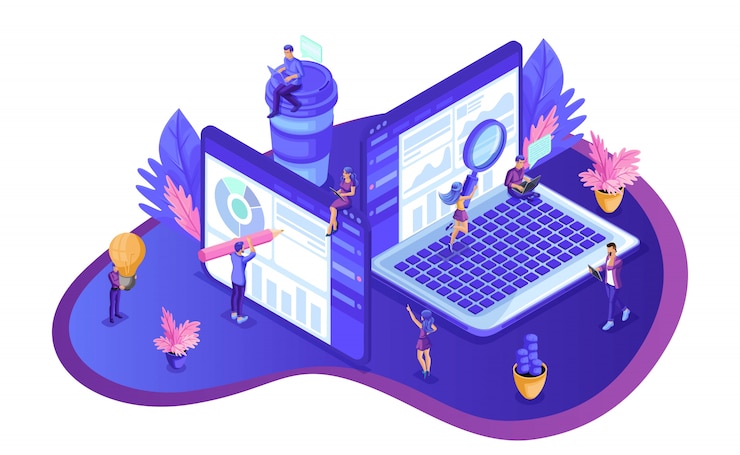 E-Government Solutions