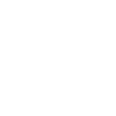 Customization icon