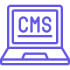 CMS icon