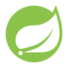spring-logo technology